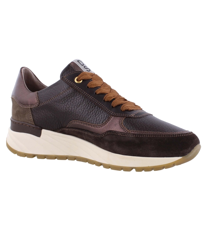 DL Sport 5849 bruin