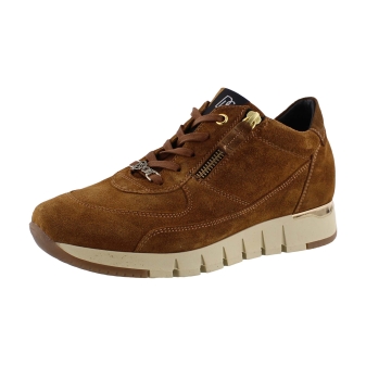 DL Sport 4826 626 bruin