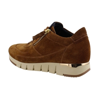 DL Sport 4826 626 bruin