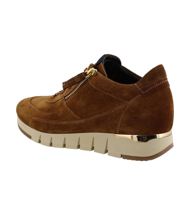 DL Sport 4826 626 bruin