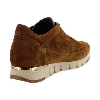 DL Sport 4826 626 bruin