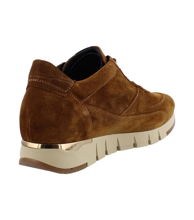 DL Sport 4826 626 bruin