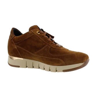DL Sport 4826 626 bruin