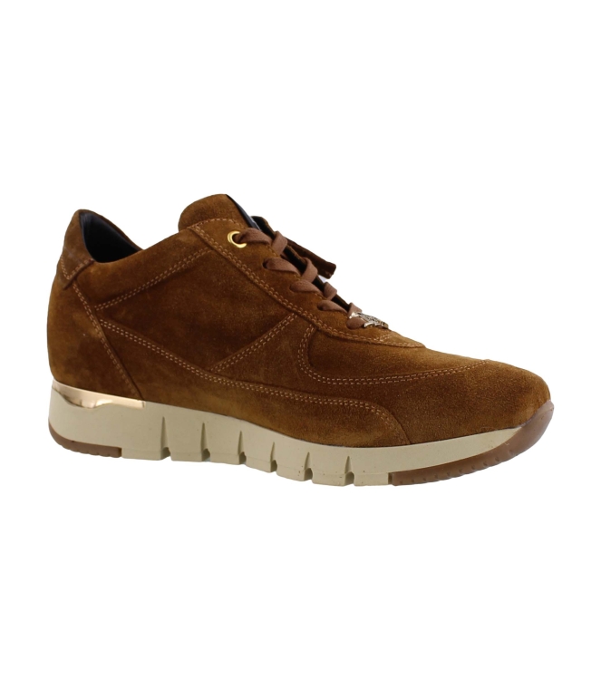 DL Sport 4826 626 bruin