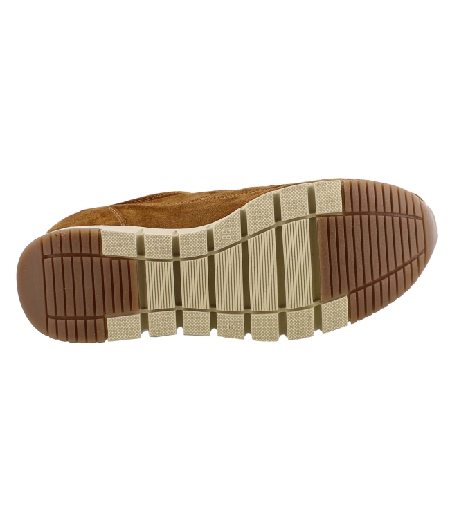 DL Sport 4826 626 bruin