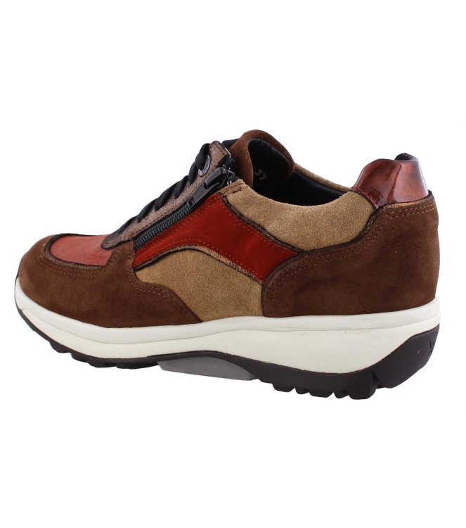 Xsensible 30112.2 Lucca bruin