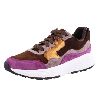 Xsensible 33000.2 Golden Gate bruin