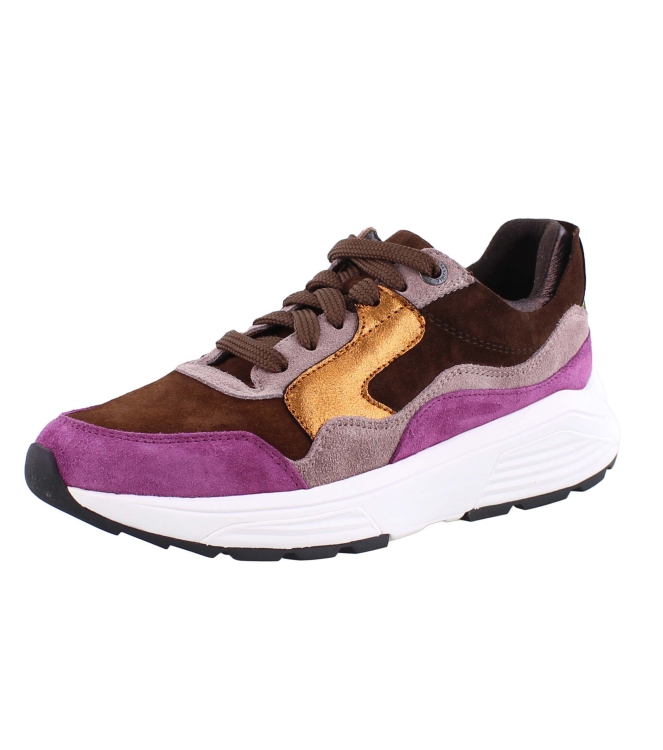 Xsensible 33000.2 Golden Gate bruin