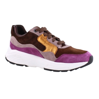 Xsensible 33000.2 Golden Gate bruin