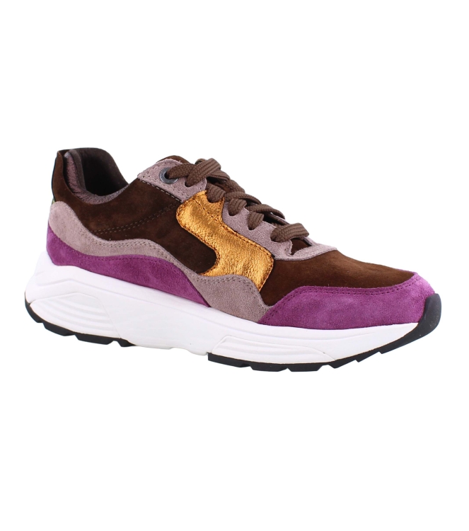 Xsensible 33000.2 Golden Gate bruin