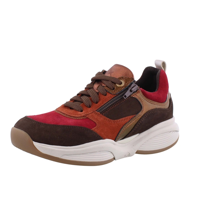 Xsensible 32004.2 SWX19 bruin