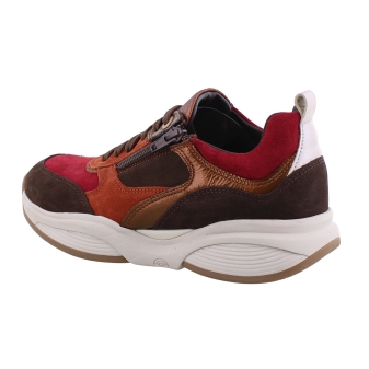Xsensible 32004.2 SWX19 bruin