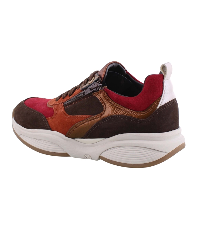 Xsensible 32004.2 SWX19 bruin