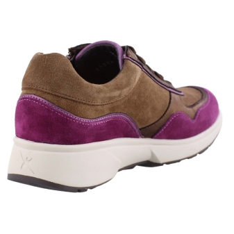 Xsensible 30204.2 Lima bruin