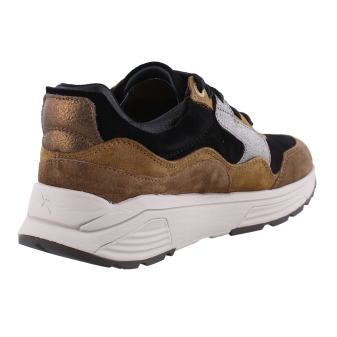 Xsensible 33000.2 Golden Gate bruin