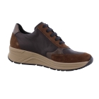 Solidus 46023 Holly bruin