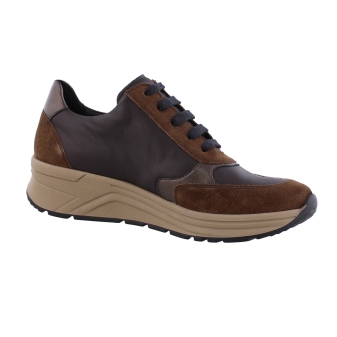 Solidus 46023 Holly bruin