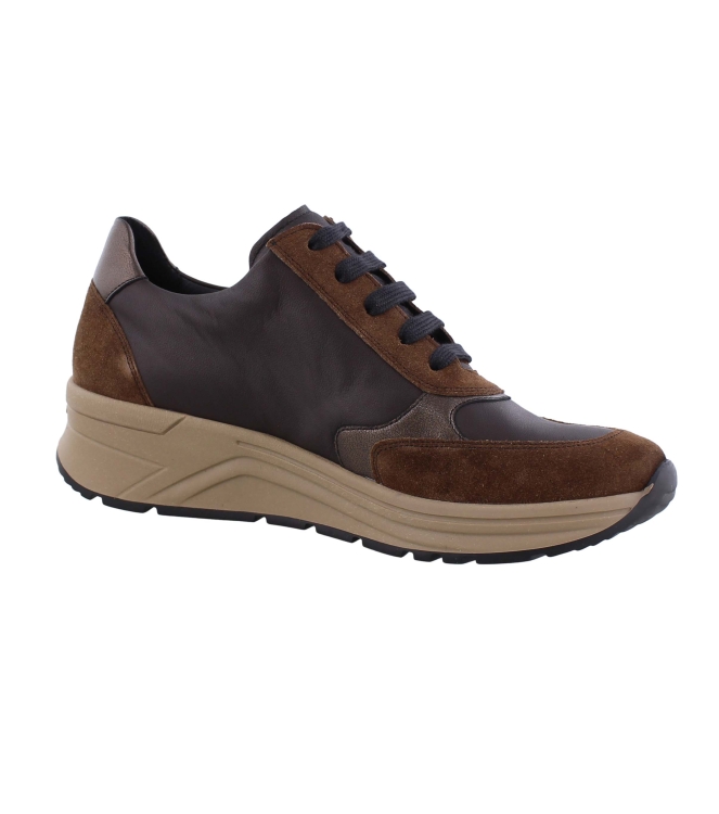 Solidus 46023 Holly bruin