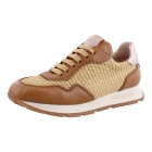 Hispanitas RHV254045 bruin