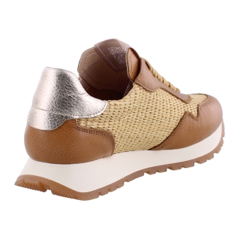 Hispanitas RHV254045 bruin