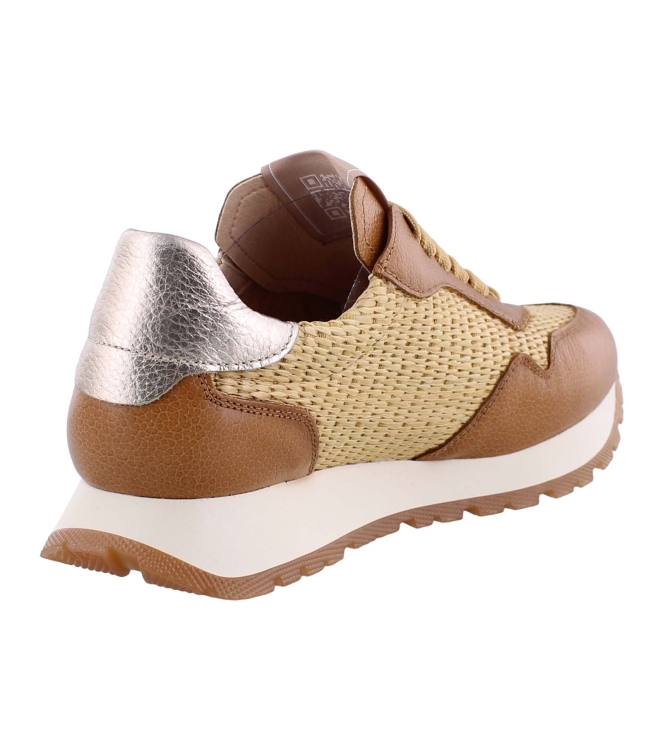Hispanitas RHV254045 bruin