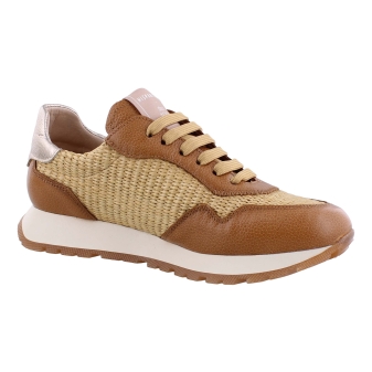 Hispanitas RHV254045 bruin