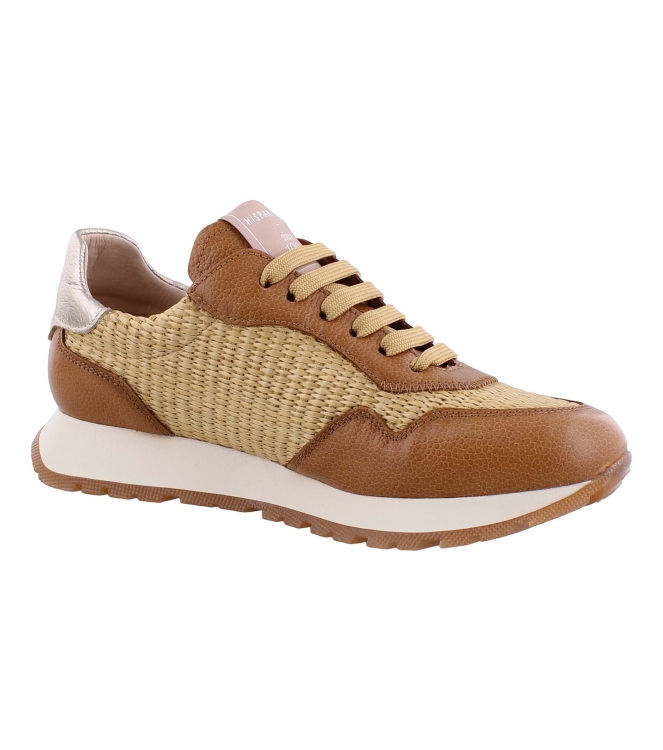 Hispanitas RHV254045 bruin