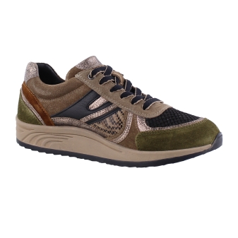 Helioform 295.001 bruin