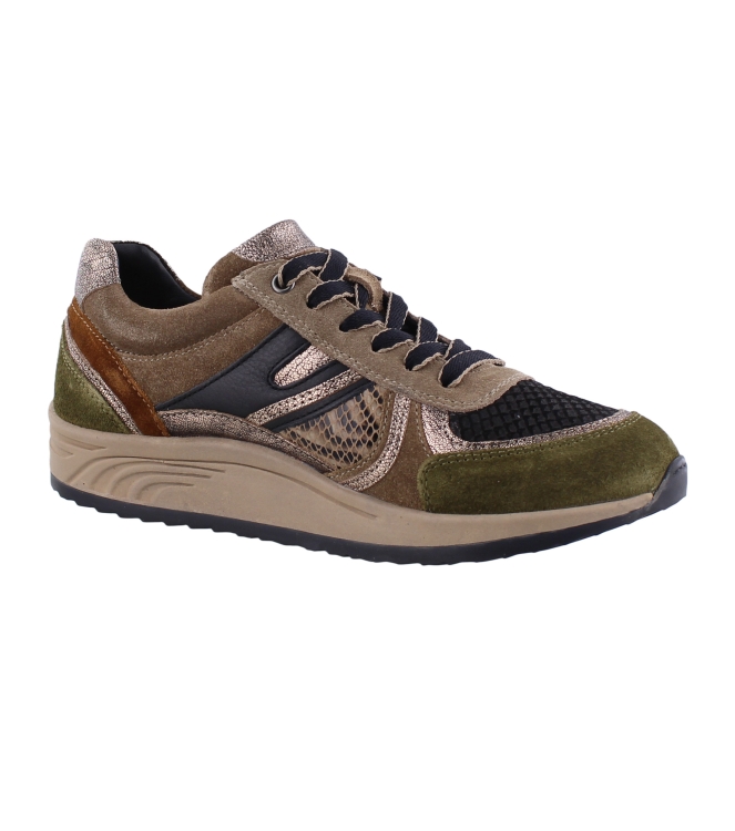 Helioform 295.001 bruin