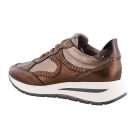 DL Sport 6333 bruin