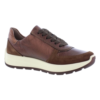 Ara 12-25112-03 bruin
