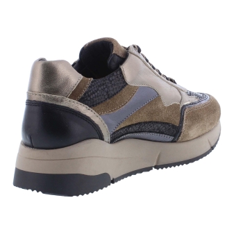 Helioform 284.003 bruin