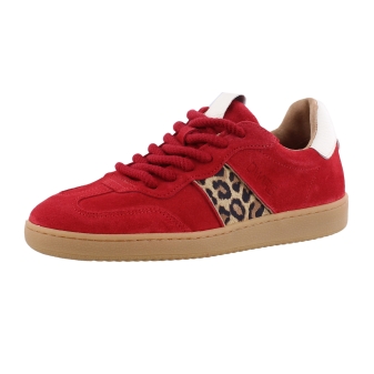 DWARS B11456-12 rood