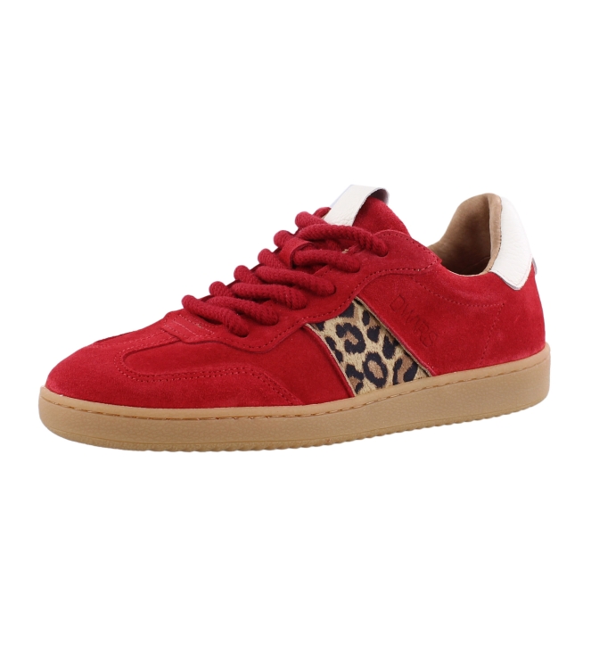 DWRS B11456-12 rood