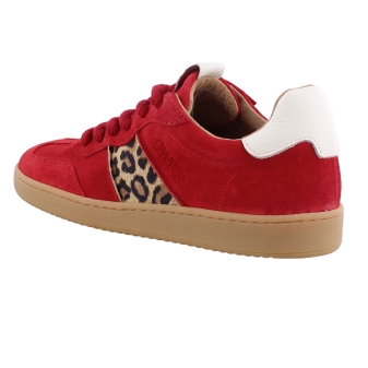 DWRS B11456-12 rood