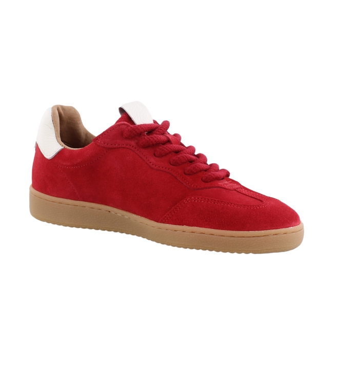DWRS B11456-12 rood