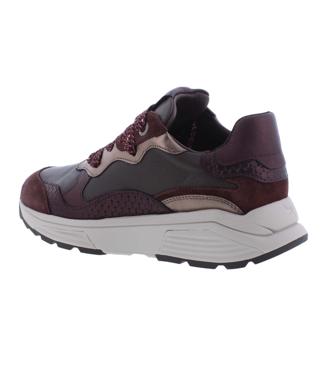 Xsensible 33011.3 Rainbow bordo