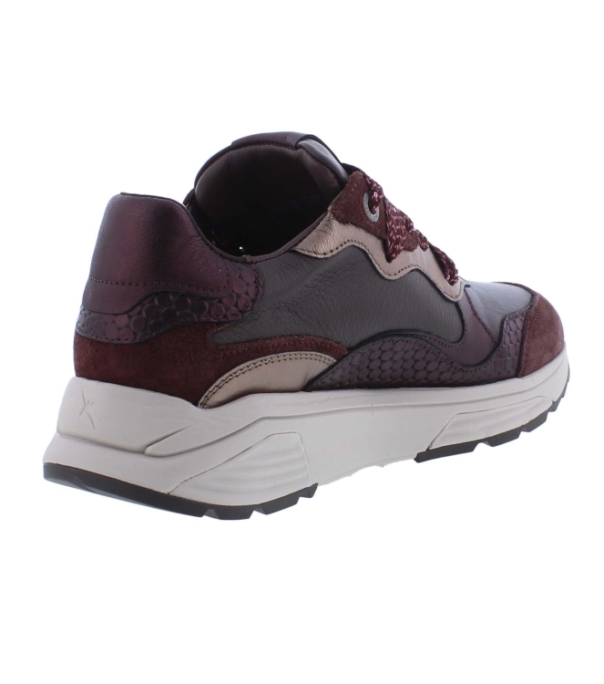 Xsensible 33011.3 Rainbow bordo
