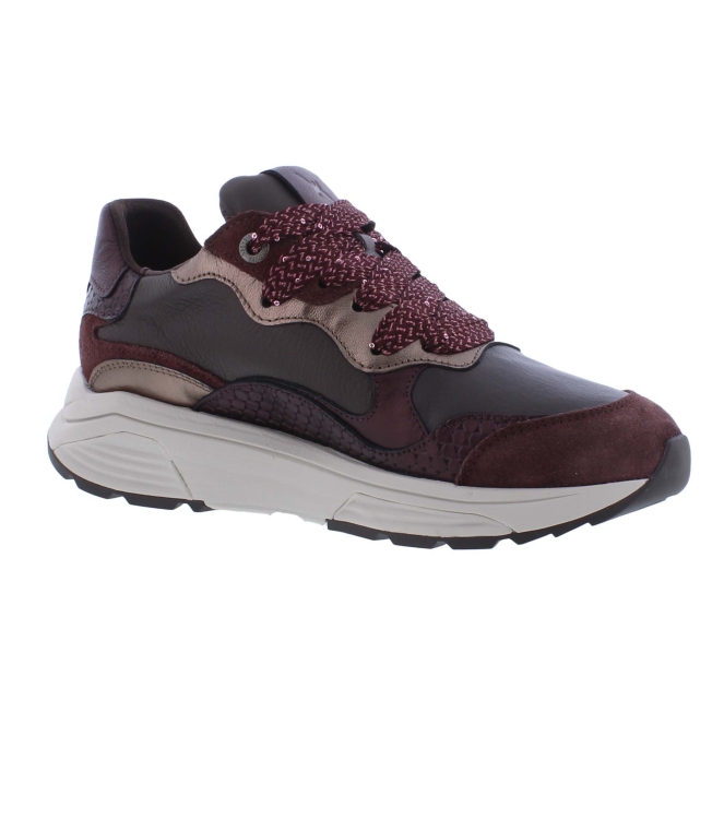 Xsensible 33011.3 Rainbow bordo