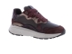 Xsensible 33011.3 Rainbow bordo