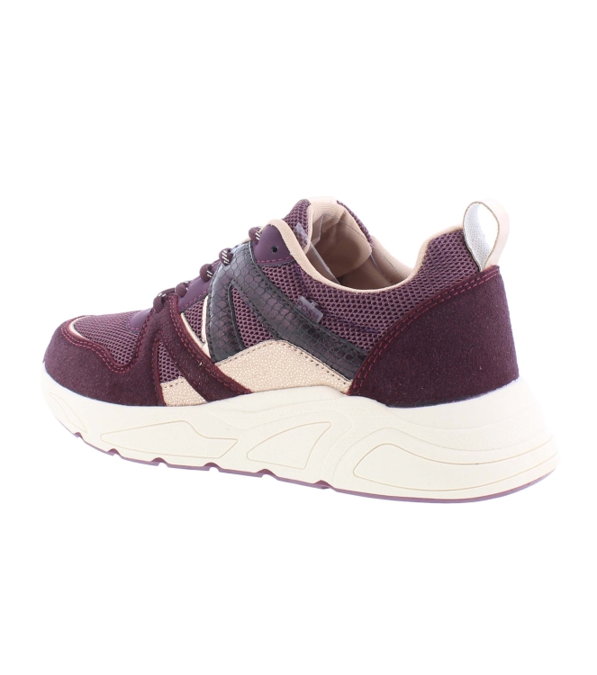 Posh C18582X9PSH49 bordo