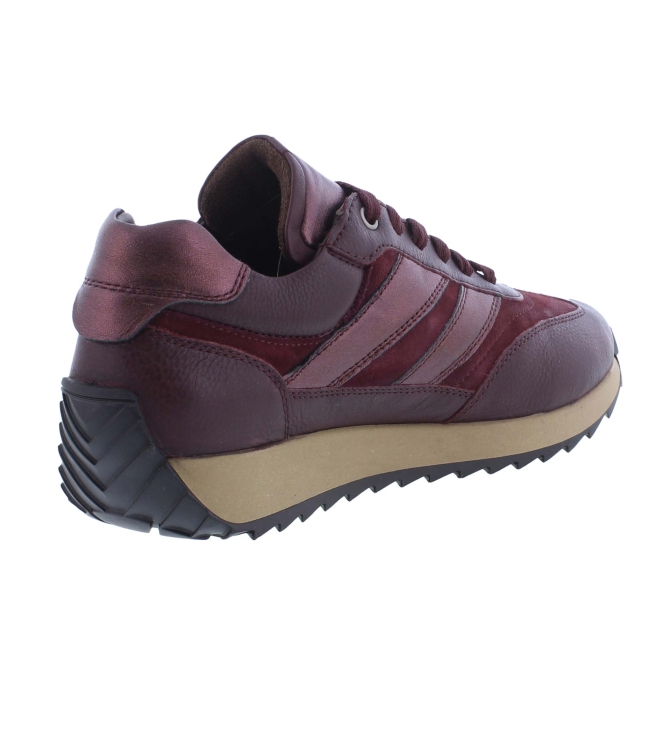 Helioform 272.002 bordo