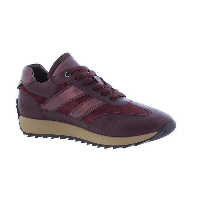 Helioform 272.002 bordo
