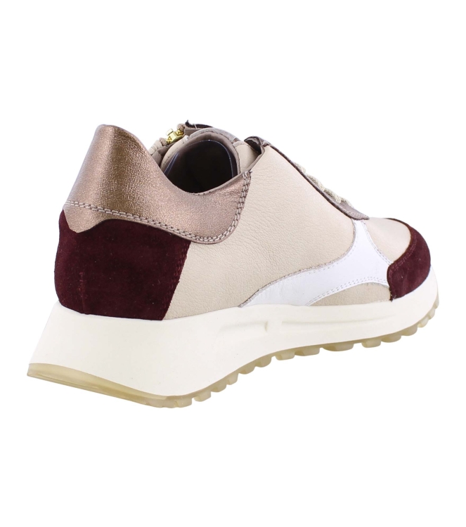 DL Sport 6302 bordo