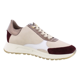 DL Sport 6302 bordo