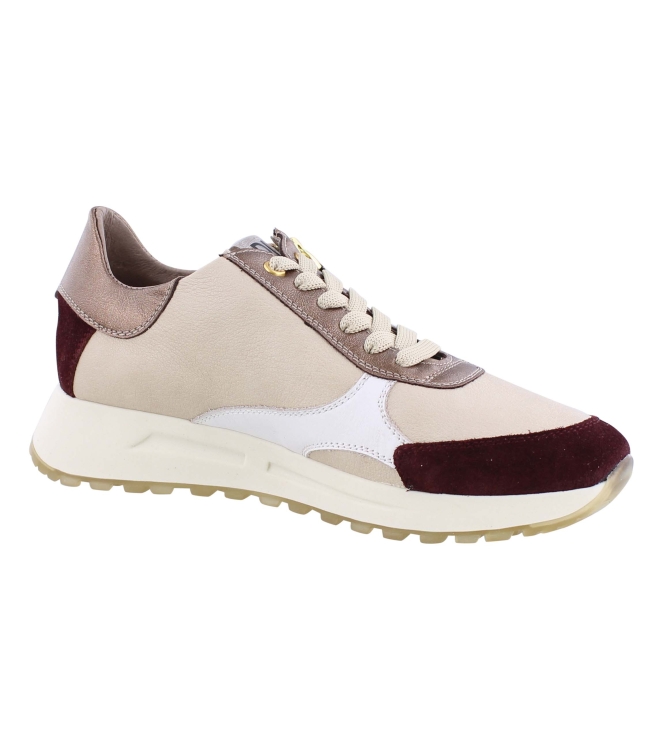 DL Sport 6302 bordo