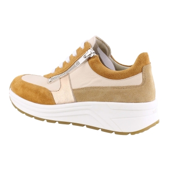 Solidus 46022 Holly oranje