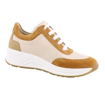 Solidus 46022 Holly oranje