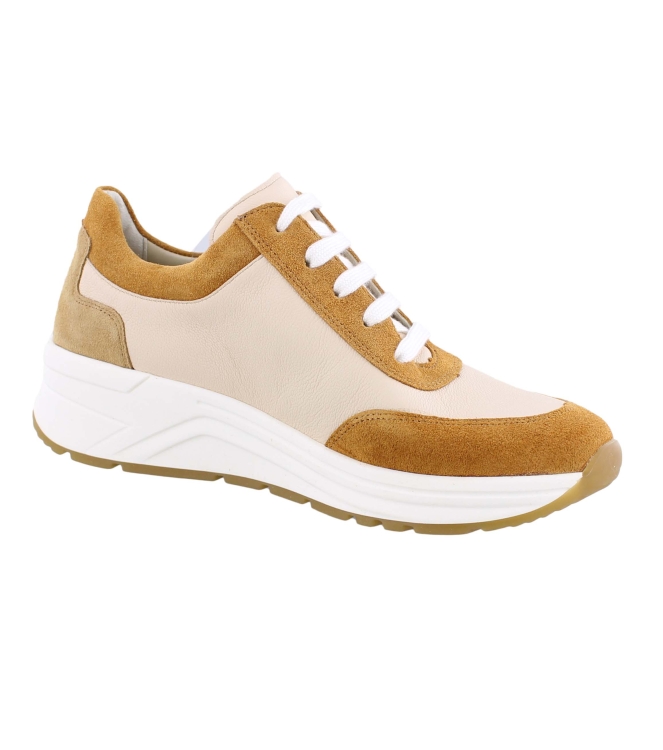 Solidus 46022 Holly oranje