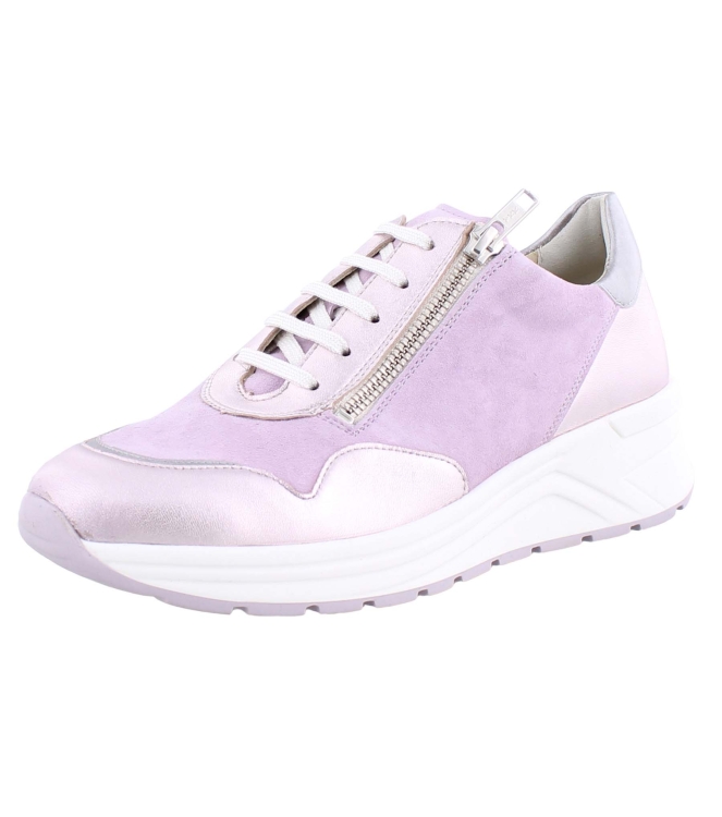 Solidus 46020 Holly rose